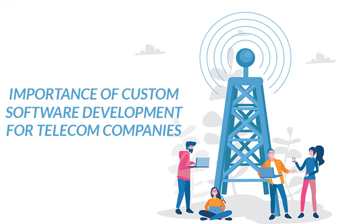 Importance of Custom Software Development for Telecom Companies