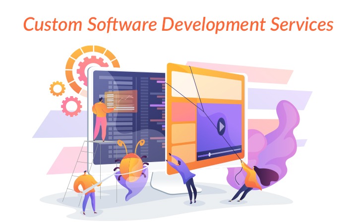 Customer Software Development Services